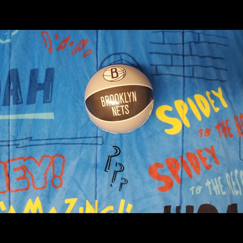 Brooklyn NETS licensed 3.5 Mini Basketball